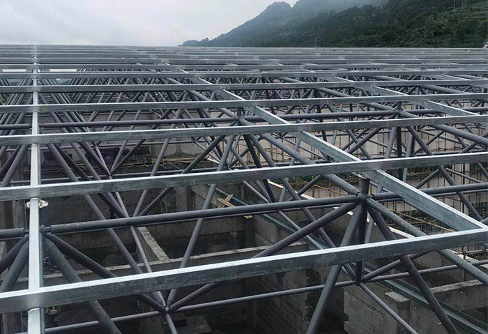 阿里学校艺体楼网架